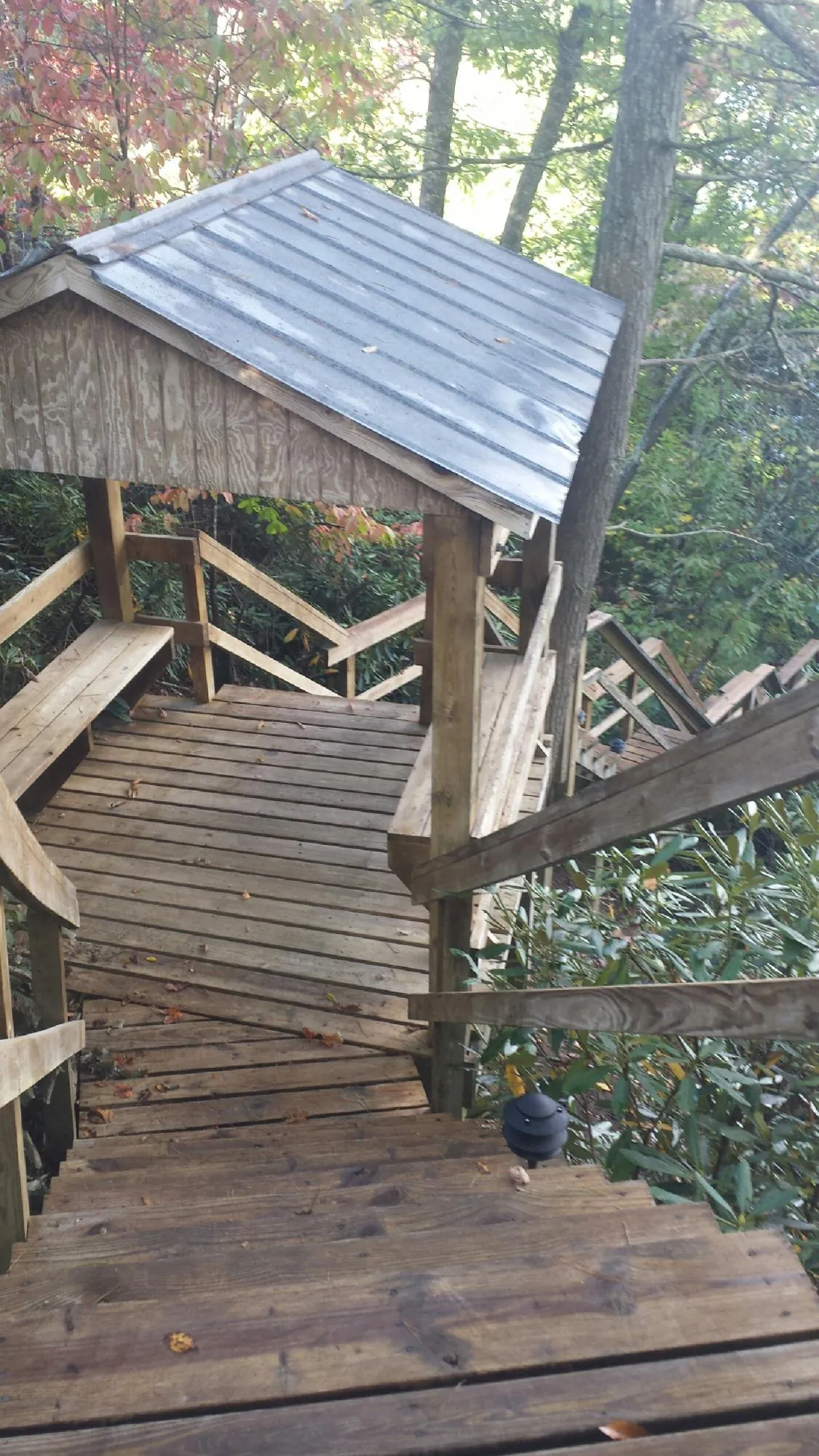 Metal roofed shelter over wooden steps on a wooded walkway — Skylight Repair & Installation work by our crew in Big Clifty